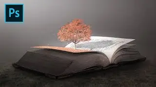 Make Pop Out Photoshop Manipulation Effect - Tree of Knowledge