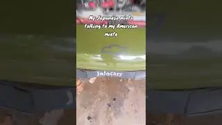 Japanese versus America