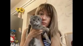 Снова загоняюсь - Немного по-душам // Дела вязальные