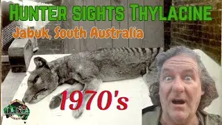 Thylacine sighting, upper S/E South Australia, late 1970's with Bob.