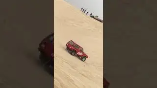 تطعيس كت كات