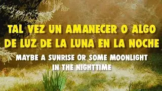 Goofy Geese - Sensational Bliss (Sub. Español) // Lyrics