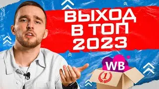 Выход в топ на Wildberries в 2023 году: пошаговая инструкция. Товарный бизнес