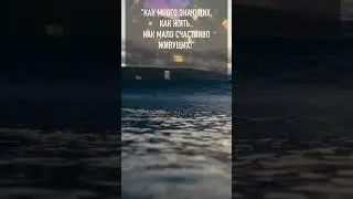 #цитаты