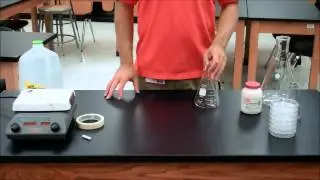 Agar Plates
