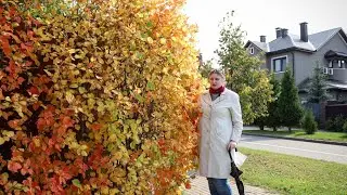VLOG. прогулка 27.09.2020