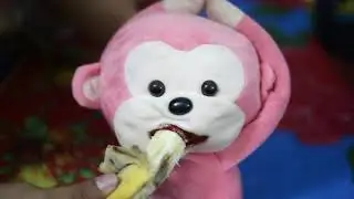 Monkey Eating Banana