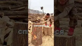 The strongest lumberjack in the world😱 🪵