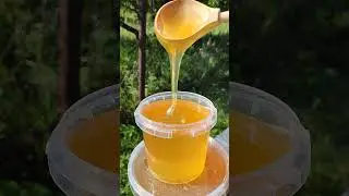 Липовый мёд