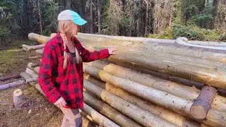 How I stacked and seasoned my cabin logs + Your questions answered