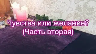 ОНЛАЙН ГАДАНИЕ ТАРО: Чувства или желание? (Часть 2)