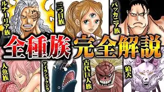 【完全解説】ワンピースの世界に生きる「全種族・生物」の全て！バッカニア族などの希少種から動物&植物まで生態系を一挙に解剖！