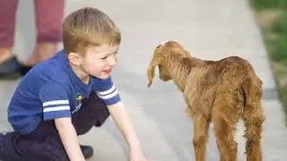 Drumm Farm KCPT TV Spot