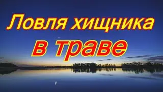 Ловля щуки и окуня в водоемах заросших травой