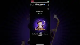 #hamsterkombatdailycombo 15 August 2024