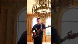 Vyacheslav Nichik.🏫Palace of Versailles 🎈Tribute to Dimebag Darell. #vyacheslav  #shredmethod