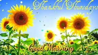 New Good Morning Video - WhatsApp