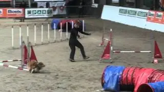 WC-2016  Agility IFCS Джампинг многоборье  Кримчик-Экстримчик