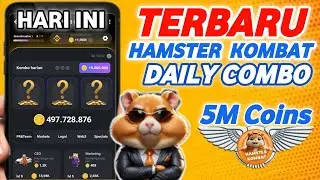 Combo Harian Hamster Kombat Hari Ini | Kombo Harian Hamster Kombat Terbaru
