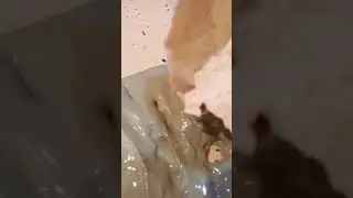 Как из липучего слайма сделать влафи