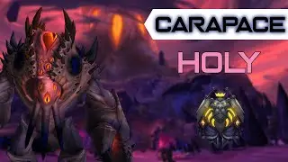 Mythic Carapace  - Holy Paladin POV - Ny'alotha