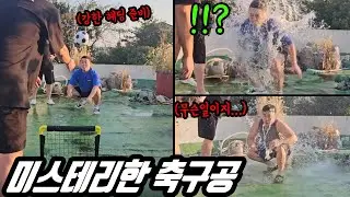 빵 터지는 축구공 ㅋㅋㅋ 둘기 양교 시원허이 ㅋㅋㅋ
