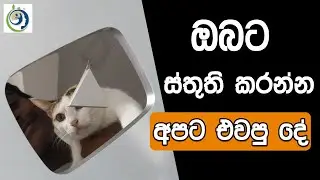 ඔබටත් අපටත් සතුට ගෙනා සිහිවටනය. | A Souvenir That Brought Happiness To You and Us.