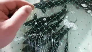Мини УЗВ. Осётр. ч.12. Перевеска. Достижения за 1 год и 3 недели.