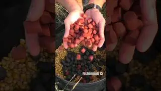 Прикормка на річкового САЗАНА🔥 #рибалка2024 #риболовляукраїна #короп #сазан
