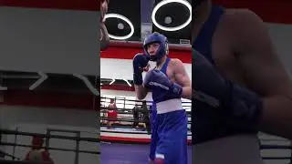 Перчатки боксерские BoyBo TITAN, кожа (одобрены ФБР)