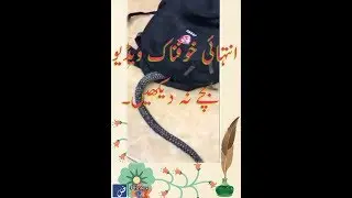 Khoofnaak video plz don't see children