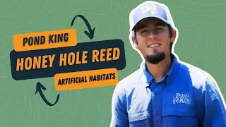 Honey Hole Reed Artificial Habitat