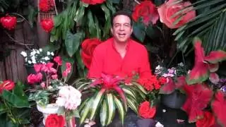 History of St. Valentine's Day
