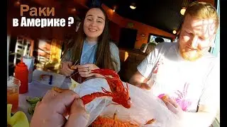 Американские раки - Что это?
