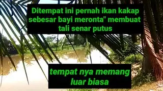 sport ikan baramundi, kakap putih liar di Medan Sumatera Utara