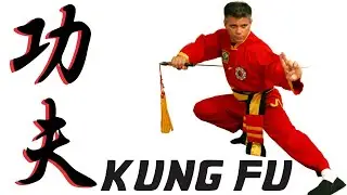 ARTS MARTIAUX CHINOIS KUNG FU Mouvements D'épée  Avec The Kung Fu Master