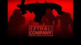 LETNAL COMPANY WITH BARUDAK SIR| LETNAL COMPANY  INDONESIA |