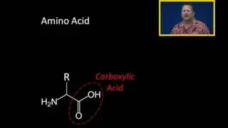 Introduction to the Biosynthesis of Amino Acid Based Neurotransmitters