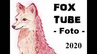 Grundlagen und Einstieg in die Fotografie oder Smartphone? (CC0 2020 by FoxTube)
