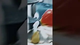 Эдит Чендрачечу от 