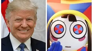 TRUMP (TUSK) x Intermission Time (This fits perfectly)