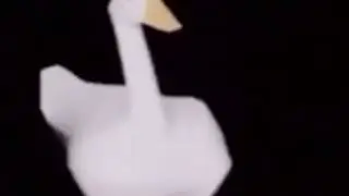 ГУСЬ ТАНЦУЕТ
