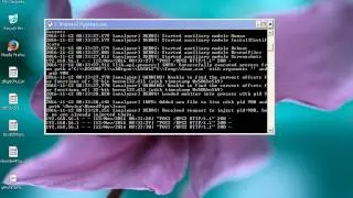 cuckoo sandbox Automated Malware Analysis