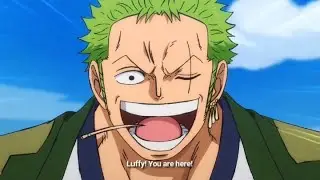 Luffy was the only one who made Zoro smile, seeing them again after years of training