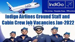 Indigo Airlines Walk-In Interview January-2022 I Cabin Crew & Ground Staff I Apply Hurry I