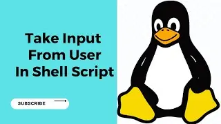 Take Input From User In Shell Script || Read Data From User In Shell Script