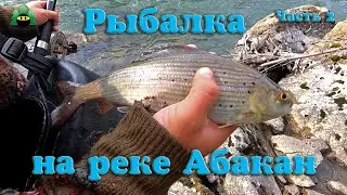 Good fishing on the Abakan River and its tributaries. Grayling, taimen. (Part 2). Archive.