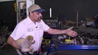 MoTech Jeep JK LS V8 Engine Converstion (Shop Tour Preview)