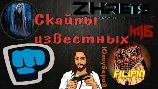 Скайпы #6 Русского мясника, PewDiePie, Джесуса, Филипина, Сахара и Тоби