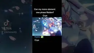 Mono Element Vs Raiden LVL 90 Cryo Edition